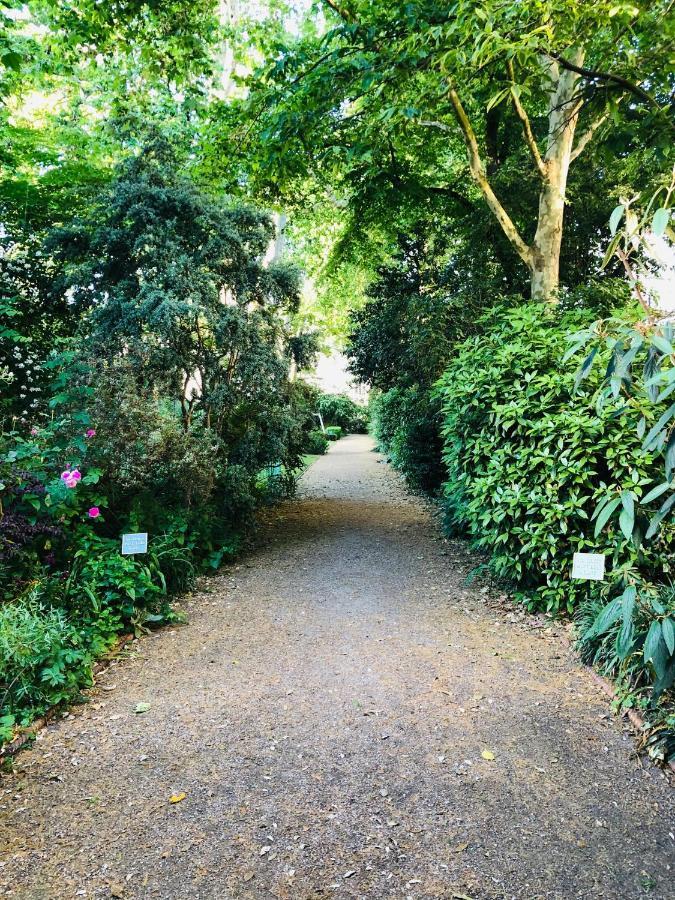Southern Belgravia Apartments Londres Exterior foto